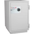 Fire King FireKingÂ Data Safe DM2520-3, 3-Hour Fire/Impact Rating 32-1/16 x 31 x 40-1/4 Platinum Finish DM2520-3PL